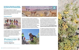 NUESTRA GESTIÓN
Iniciativas relevantes en materia
de protección de la biodiversidad
Uno de nuestros objetivos en materia de
sustentabilidad es impulsar, participar y colaborar en
diferentes iniciativas de protección y/o conservación
tanto a nivel local como nacional. Entre ellas,
destacan las siguientes:
División Radomiro Tomic
La División Radomiro Tomic, a través de la Dirección
de Medio Ambiente y Territorio, ha reforzado el
conocimiento de las especies de biodiversidad
presentes en el área industrial con el objetivo de su
protección mediante la permanente difusión a
los trabajadores.
GRI 304-3
“Su categoría es Vulnerable-Rara, esto quiere decir
que es una especie que tiene una distribución
bastante restringida dentro de la naturaleza; es
escasa, hay cerca de 5 poblaciones en las cuales
se han identificado cerca de 250 a 500 individuos,
es propia de nuestro país, es endémica, por lo
tanto, hay que protegerla” enfatizó Milenka Gjakoni,
ingeniera de Gestión Ambiental de Radomiro Tomic.
Con objetivo de proteger las especies de fauna
y prevenir accidentes debido a posibles caídas
y/o acercamientos, la división ha llevado a cabo
la implementación de aproximadamente 6.000
metros lineales de cierres perimetrales en todas
sus piscinas y reservorios, constituyendo un hito
relevante de protección para las especies de fauna.
Protección
Medioambiente
como objetivo
Entre estas principales iniciativas, se destaca la
ejecución de un protocolo para proteger y difundir al
tomatillo Silvestre (Solanum sitiens), especie de flora
endémica y vulnerable del Norte de Chile que habita
algunos sectores más secos del Desierto de Atacama,
la cual se encuentra resguardada con cercos y
señalética, y monitoreada para su protección, trabajo
realizado de la mano con la Dirección de Medio
Ambiente y la Gerencia de Proyectos de la División.
REPORTE DE SUSTENTABILIDAD 2018 I CODELCO
48
 