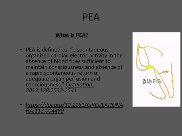 Code Management: PEA | PPT