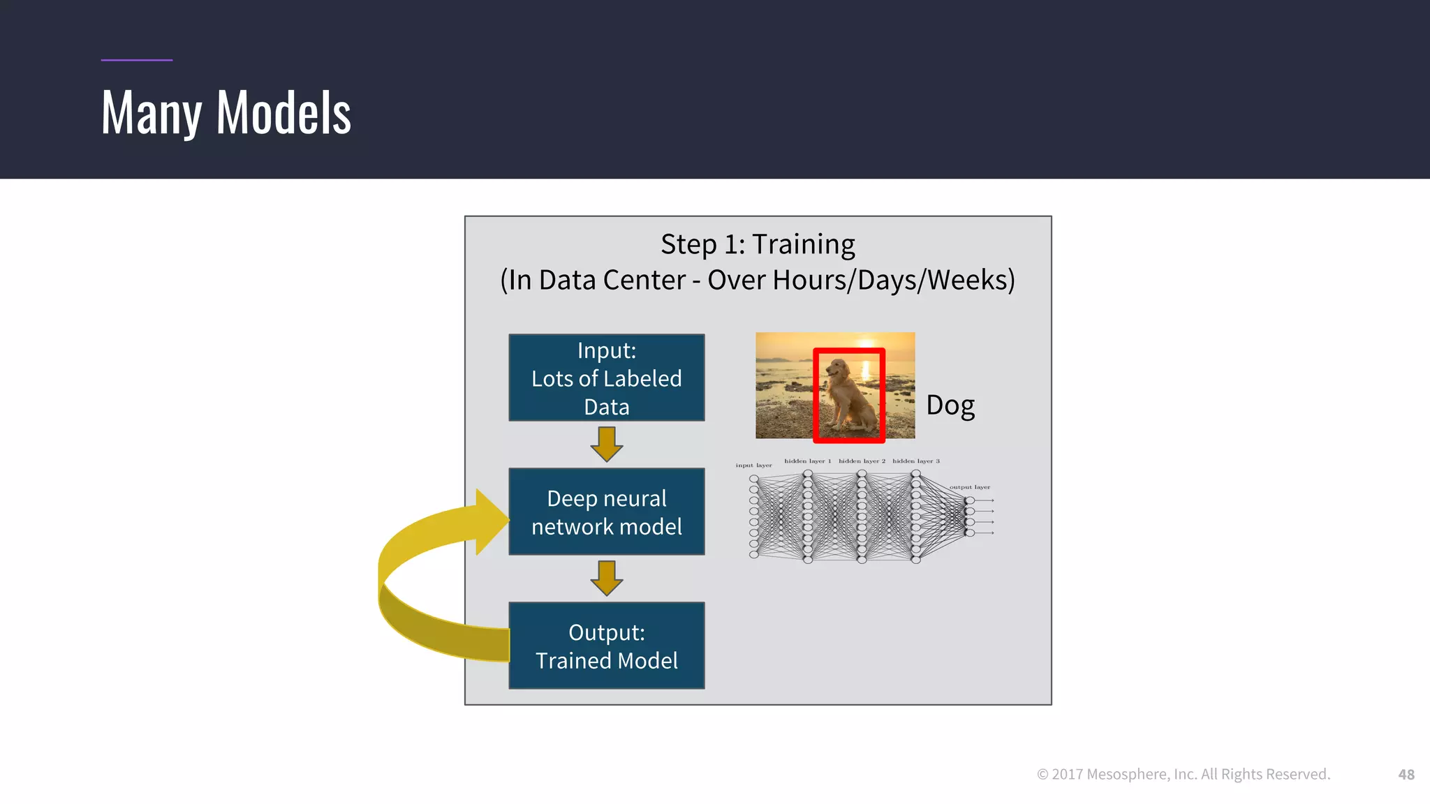© 2017 Mesosphere, Inc. All Rights Reserved.
Many Models
48
Step 1: Training
(In Data Center - Over Hours/Days/Weeks)
Dog
Input:
Lots of Labeled
Data
Output:
Trained Model
Deep neural
network model
 