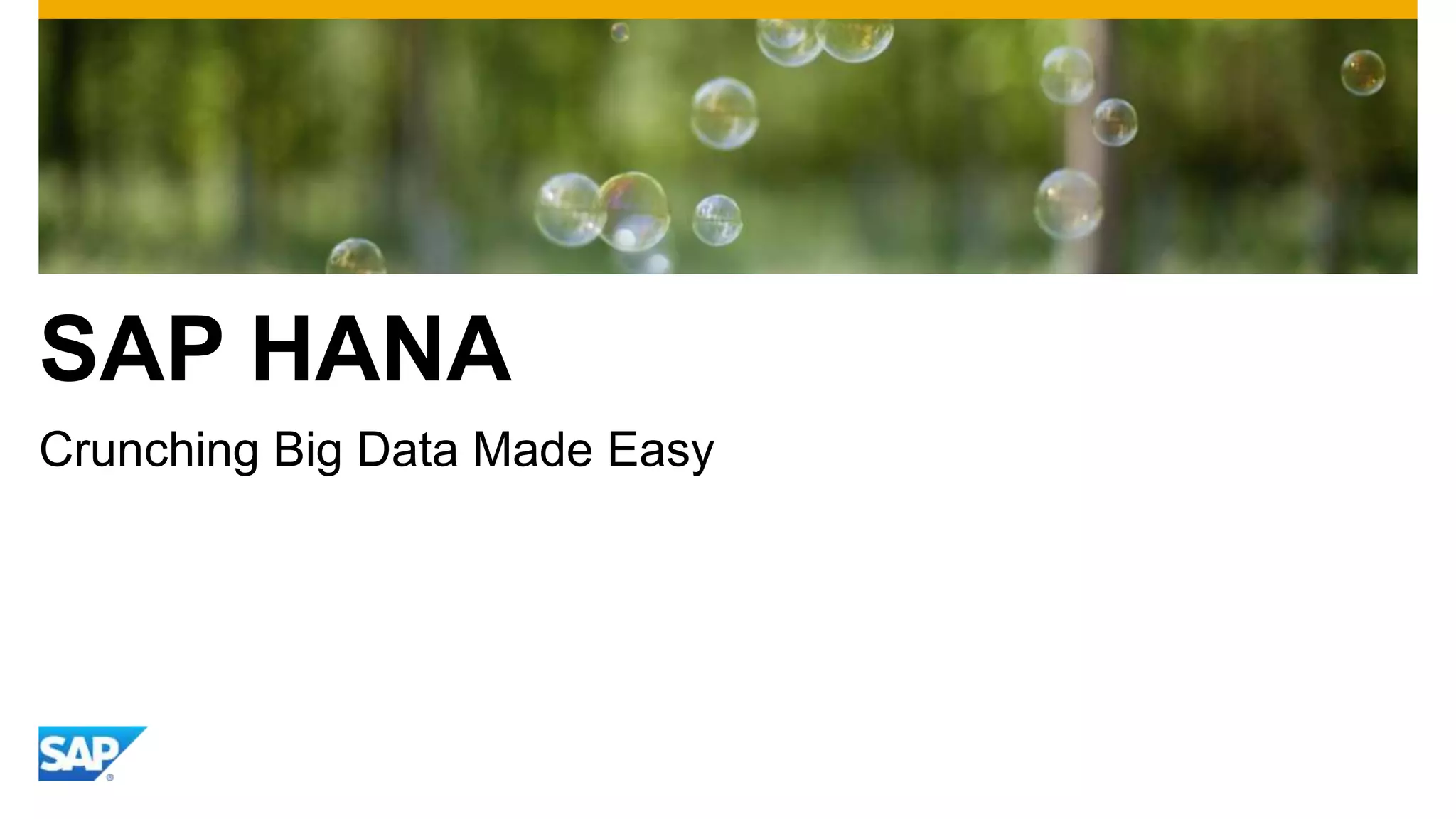 SAP HANA
Crunching Big Data Made Easy
 