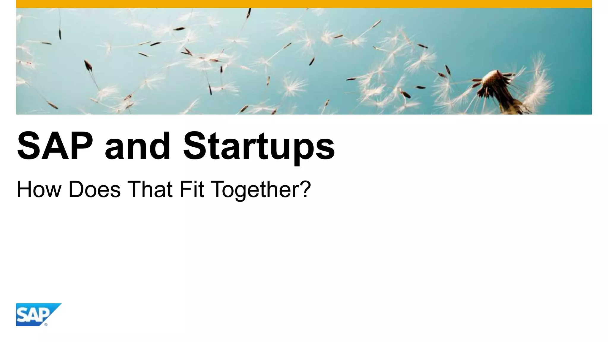SAP and Startups
How Does That Fit Together?
 