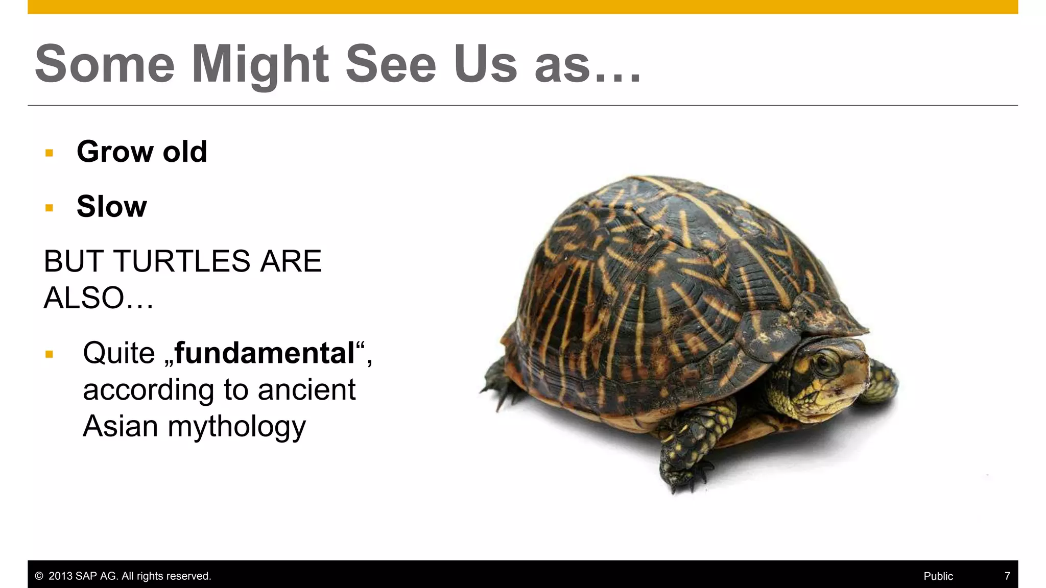 © 2013 SAP AG. All rights reserved. 7Public
Some Might See Us as…
 Grow old
 Slow
BUT TURTLES ARE
ALSO…
 Quite „fundamental“,
according to ancient
Asian mythology
 