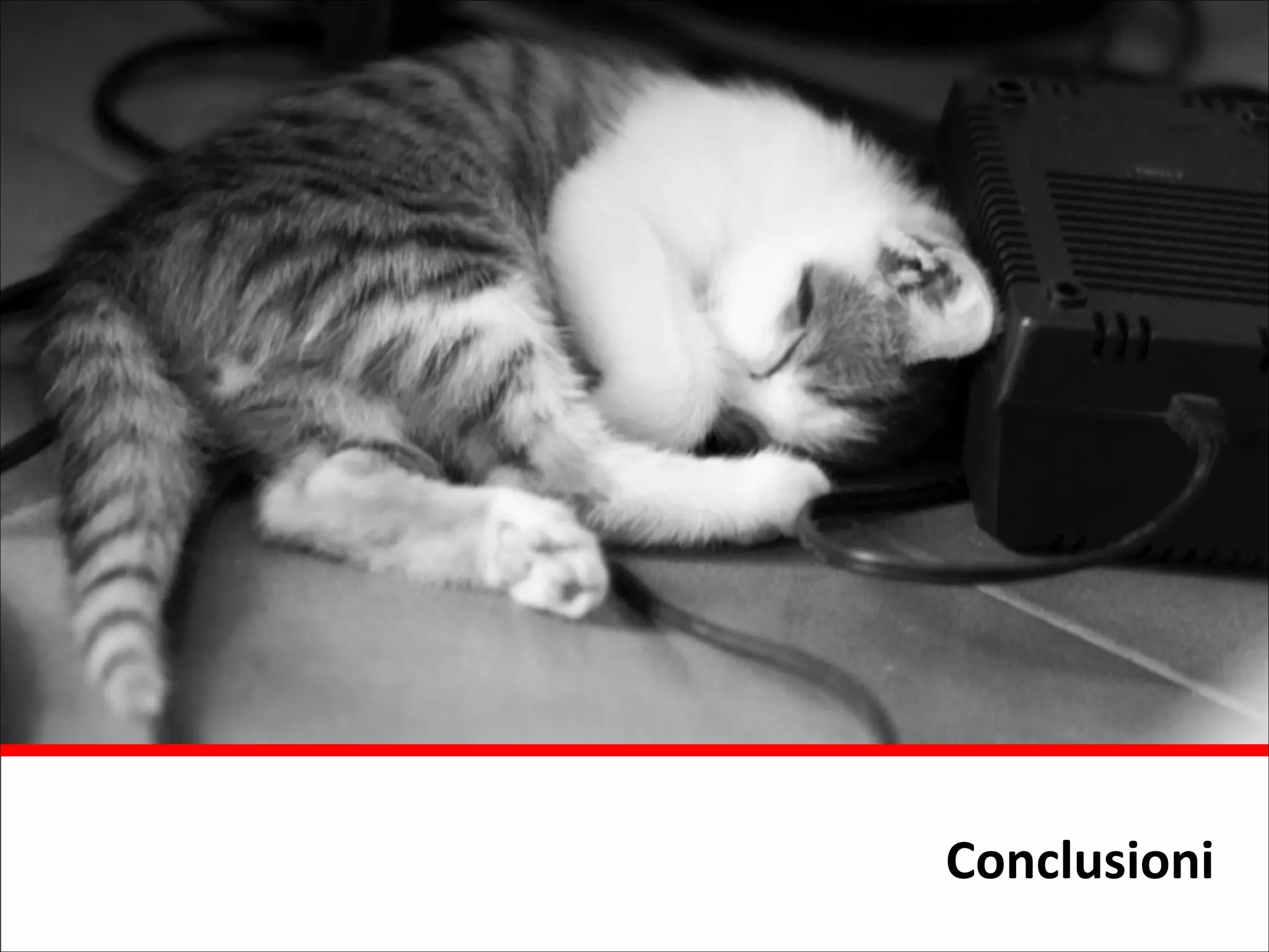 Conclusioni

 