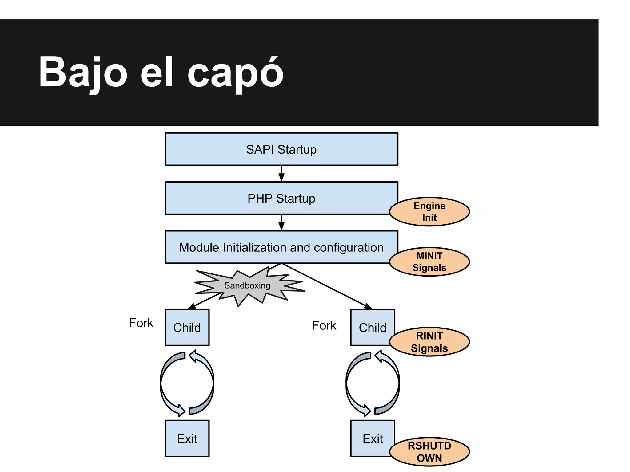 Bajo el capó
SAPI Startup

PHP Startup

Engine
Init

Module Initialization and configuration

MINIT
Signals

Sandboxing

Fork

Child

Exit

Fork

Child

Exit

RINIT
Signals

RSHUTD
OWN

 