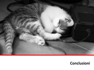 Conclusioni
 