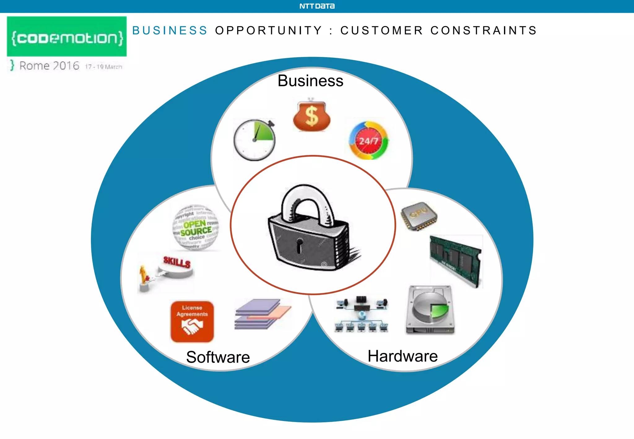 B U S I N E S S O P P O R T U N I T Y : C U S T O M E R C O N S T R A I N T S
Software Hardware
Business
 