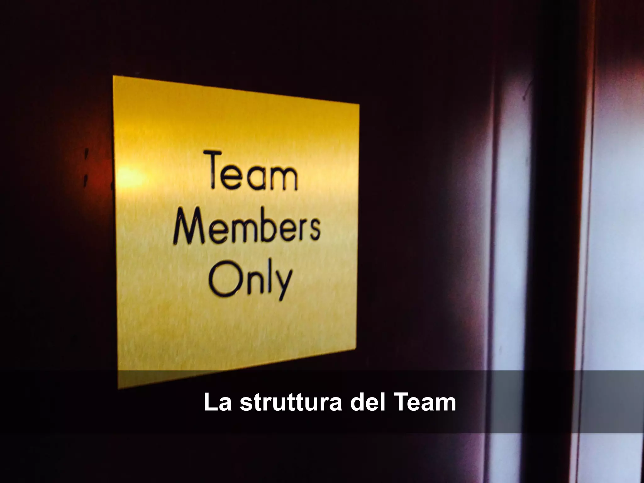 ROME 27-28 march 2015 – Speaker's name
La struttura del Team
 