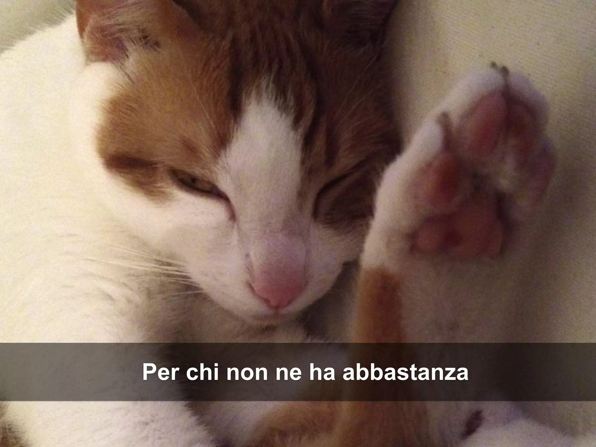 ROME 27-28 march 2015 – Speaker's name
Per chi non ne ha abbastanza
 