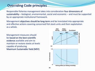 Celebrating 20 years of the Code of Conduct for Responsible Fisheries Slide 14