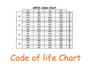 Code of life Chart 