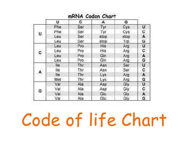 Life Chart 1