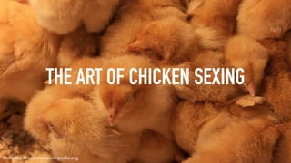 THE ART OF CHICKEN SEXING
bsmalley @ commons.wikipedia.org
 