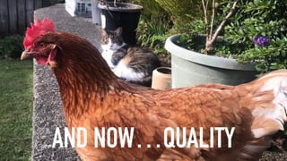 AND NOW…QUALITY
 
