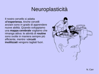 Neuroplasticità 
Il nostro cervello si adatta 
all'esperienza. Anche cervelli 
anziani sono in grado di apprendere 
nuove abilità. Quando sviluppiamo 
una mappa cerebrale vogliamo che 
rimanga attiva: le attività di routine 
sono svolte in maniera sempre più 
efficiente, mentre i circuiti 
inutilizzati vengono tagliati fuori. 
N. Carr 
 