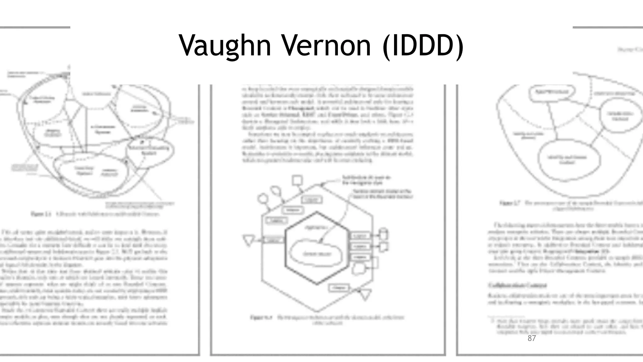 Vaughn Vernon (IDDD)
87
 