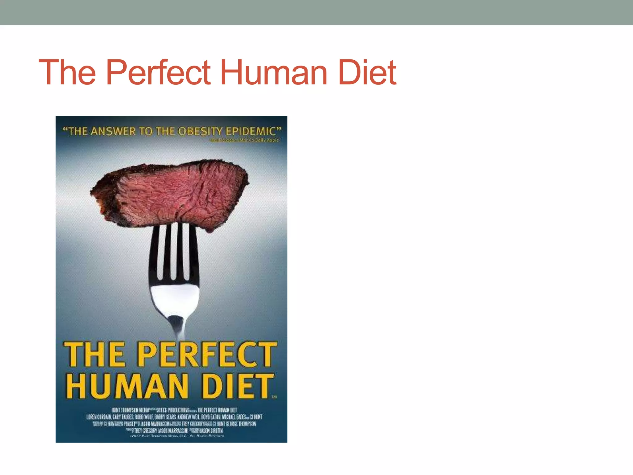 The Perfect Human Diet
 