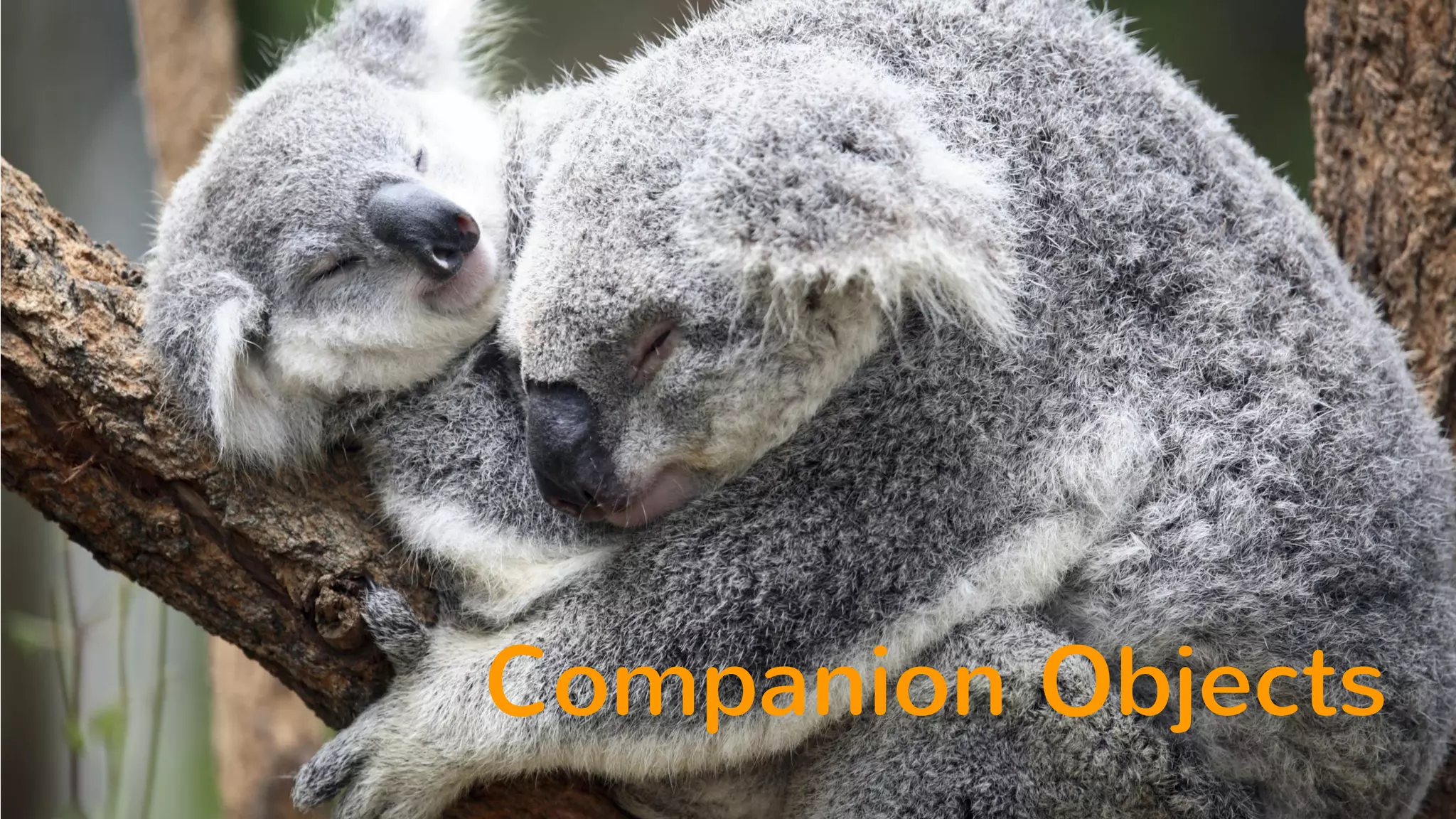 Companion Objects 