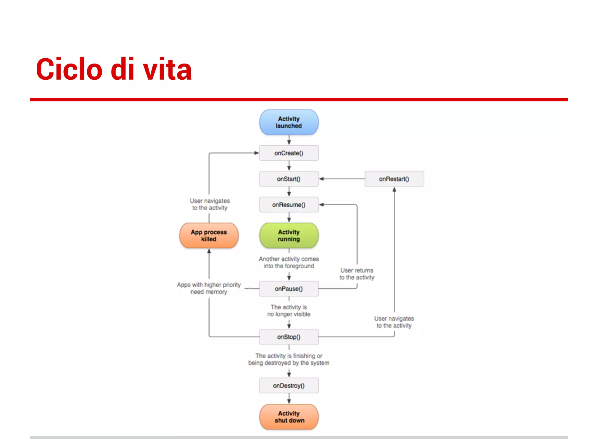 Ciclo di vita

 