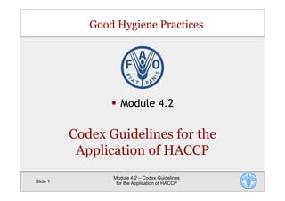 Good Hygiene Practices
Slide 1
Module 4.2 – Codex Guidelines
for the Application of HACCP
§  Module 4.2
Codex Guidelines for the
Application of HACCP
 
