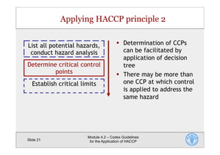 CODEX Guidelines for the Application of HACCP | PDF