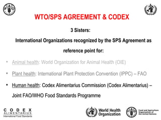 C O D E X
A L I M E N T A R I U S
International Food Standards
WTO/SPS AGREEMENT & CODEX
3 Sisters:
International Organizations recognized by the SPS Agreement as
reference point for:
• Animal health: World Organization for Animal Health (OIE)
• Plant health: International Plant Protection Convention (IPPC) – FAO
• Human health: Codex Alimentarius Commission (Codex Alimentarius) –
Joint FAO/WHO Food Standards Programme
 