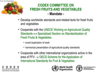 C O D E X
A L I M E N T A R I U S
International Food Standards
• Develop worldwide standards and related texts for fresh fruits
and vegetables
• Cooperate with the UNECE Working on Agricultural Quality
Standards  Specialized Section on Standardization of
Fresh Fruits & Vegetables:
− avoid duplication of work
− harmonize presentation of agricultural quality standards
• Cooperate with other international organizations active in the
area of FFV  OECD Scheme for the Application of
International Standards for Fruit & Vegetables
CODEX COMMITTEE ON
FRESH FRUITS AND VEGETABLES
- Mandate -
 