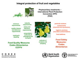C O D E X
A L I M E N T A R I U S
International Food Standards
Phytosanitary treatments –
International Plant Protection
Convention IPPC
(FAO)
pesticide residues
contaminants
(chemical and mycotoxins)
hygienic practices
(microbial contaminitation)
food additives
Food Safety
Measures:
Codex
Alimentarius
marking &
labelling
minimum
requirements
maturity
requirements
sizing and
tolerance
requirements
presentation:
uniformity &
packaging and
transport
quality classes
and tolerance
requirements
methods of
analysis and
sampling
Food Quality Measures
Codex Alimentarius
CCFFV
Integral protection of fruit and vegetables
 