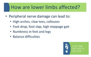 • Peripheral nerve damage can lead to:
• High arches, claw toes, callouses
• Foot drop, foot slap, high steppage gait
• Numbness in feet and legs
• Balance difficulties
How are lower limbs affected?
 