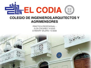 COLEGIO DE INGENIEROS,ARQUITECTOS Y
AGRIMENSORES
EL CODIA
PRACTICA PROFESIONAL -
ELSA CÁCERES 14-0220
CHIMAIRY VALERIO 13-0838
 