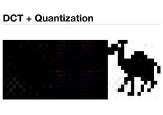 DCT + Quantization
 