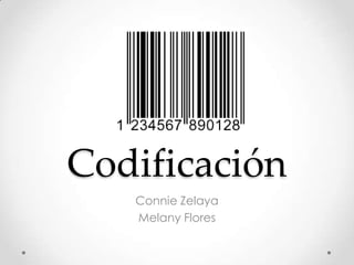 Codificación Connie Zelaya Melany Flores 