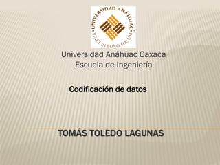 Universidad Anáhuac Oaxaca
    Escuela de Ingeniería

  Codificación de datos




TOMÁS TOLEDO LAGUNAS
 