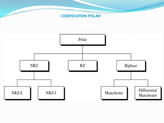 CODIFICATION POLAR