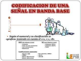 Haner Palacios Cañizales