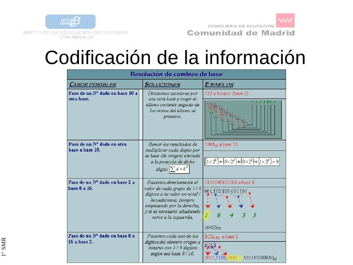 formas de codificación de la información
