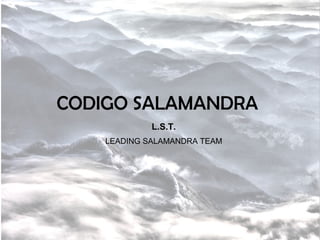 CODIGO SALAMANDRA L.S.T. LEADING SALAMANDRA TEAM 