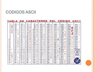 Codigo binario | PPTX