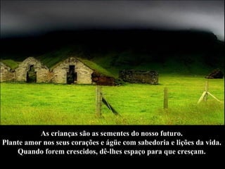 As crianças são as sementes do nosso futuro.  Plante amor nos seus corações e ágüe com sabedoria e lições da vida.  Quando forem crescidos, dê-lhes espaço para que cresçam.   
