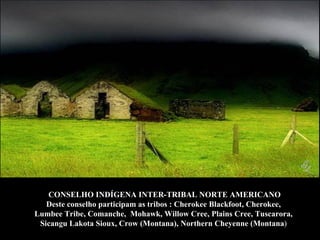 CONSELHO INDÍGENA INTER-TRIBAL NORTE AMERICANO Deste conselho participam as tribos  : Cherokee Blackfoot, Cherokee,  Lumbee Tribe, Comanche,  Mohawk, Willow Cree, Plains Cree, Tuscarora,  Sicangu Lakota Sioux, Crow (Montana), Northern Cheyenne (Montana )   
