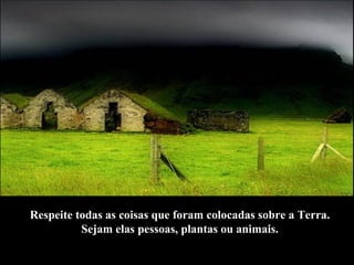 Respeite todas as coisas que foram colocadas sobre a Terra.  Sejam elas pessoas, plantas ou animais.  