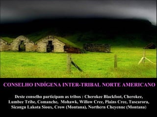 CONSELHO INDÍGENA INTER-TRIBAL NORTE AMERICANO Deste conselho participam as tribos  : Cherokee Blackfoot, Cherokee,  Lumbee Tribe, Comanche,  Mohawk, Willow Cree, Plains Cree, Tuscarora,  Sicangu Lakota Sioux, Crow (Montana), Northern Cheyenne (Montana )   