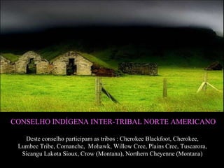 CONSELHO INDÍGENA INTER-TRIBAL NORTE AMERICANO Deste conselho participam as tribos  : Cherokee Blackfoot, Cherokee,  Lumbee Tribe, Comanche,  Mohawk, Willow Cree, Plains Cree, Tuscarora,  Sicangu Lakota Sioux, Crow (Montana), Northern Cheyenne (Montana)   