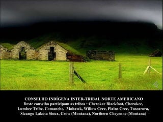 CONSELHO INDÍGENA INTER-TRIBAL NORTE AMERICANO Deste conselho participam as tribos  : Cherokee Blackfoot, Cherokee,  Lumbee Tribe, Comanche,  Mohawk, Willow Cree, Plains Cree, Tuscarora,  Sicangu Lakota Sioux, Crow (Montana), Northern Cheyenne (Montana )   