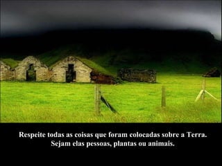 Respeite todas as coisas que foram colocadas sobre a Terra.  Sejam elas pessoas, plantas ou animais.  