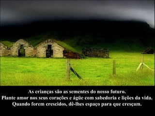 As crianças são as sementes do nosso futuro.  Plante amor nos seus corações e ágüe com sabedoria e lições da vida.  Quando forem crescidos, dê-lhes espaço para que cresçam.   