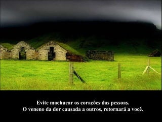 Evite machucar os corações das pessoas.  O veneno da dor causada a outros, retornará a você.   