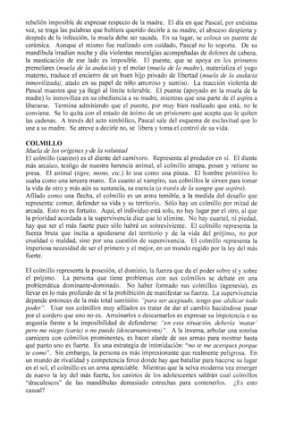 Codigo de los dientes reducido parte1 1