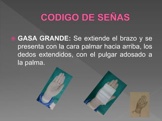  GASA CHICA: Se extiende el brazo y se
presenta con la cara palmar hacia arriba, los
dedos extendidos, excepto el pulgar que
permanece flexionado.
 