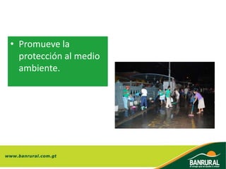 • Promueve la
protección al medio
ambiente.
 