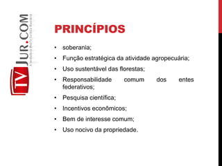 PRINCÍPIOS
• soberania;
• Função estratégica da atividade agropecuária;
• Uso sustentável das florestas;
• Responsabilidade comum dos entes
federativos;
• Pesquisa científica;
• Incentivos econômicos;
• Bem de interesse comum;
• Uso nocivo da propriedade.
 